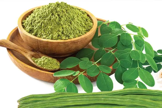 প্রিমিয়াম মরিঙ্গা পাউডার